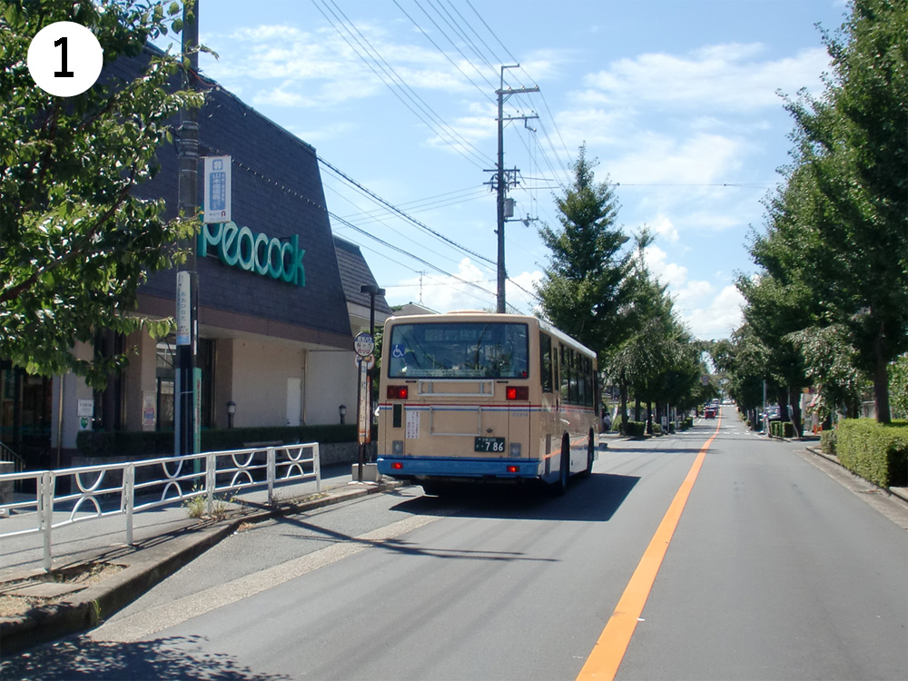 1箕面方面からピーコック前
